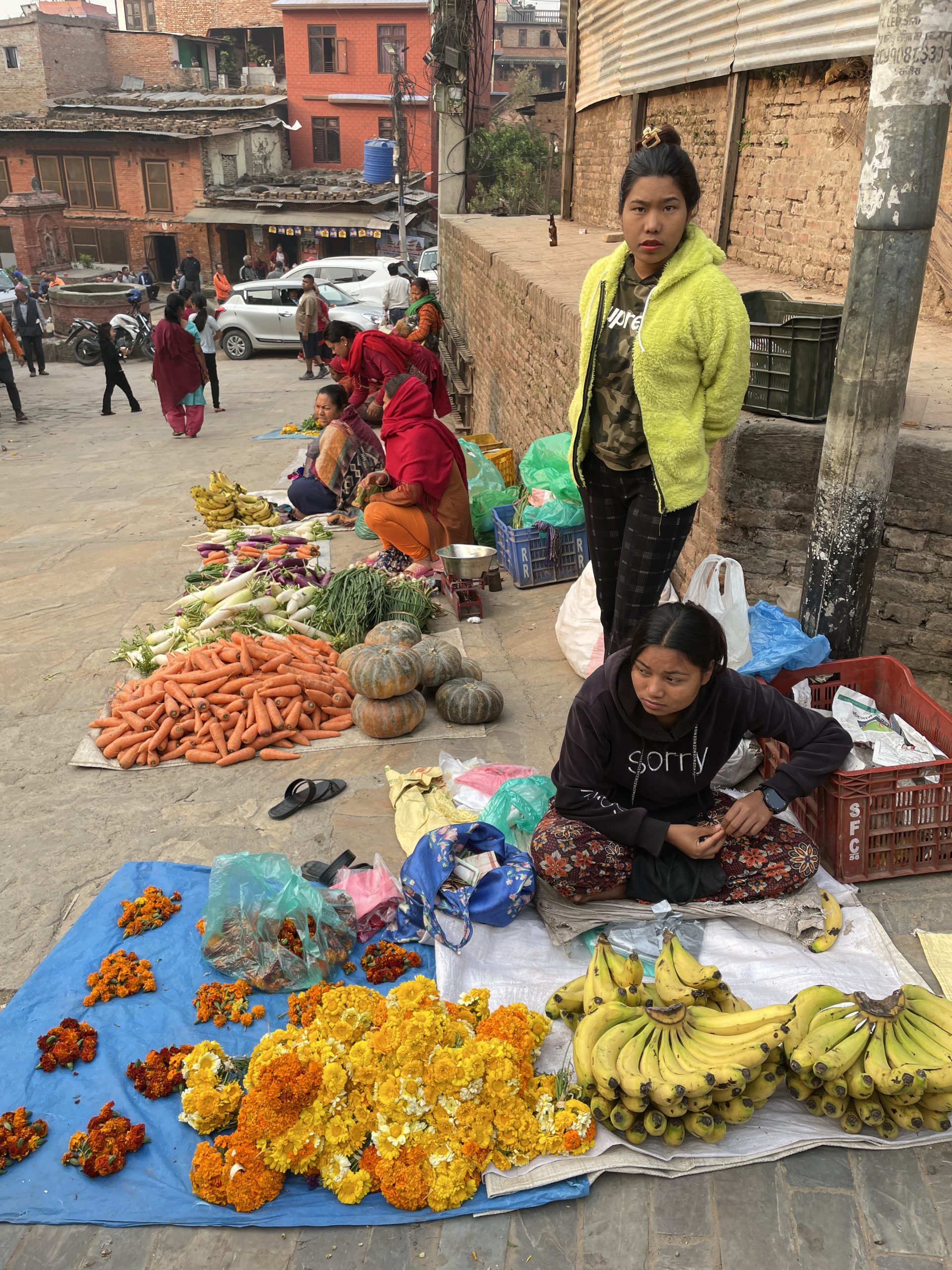 nepal (66)